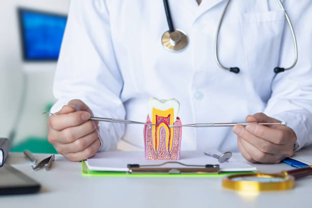 Best Emergency Dentist for Special Needs Patients in Newberry, MI